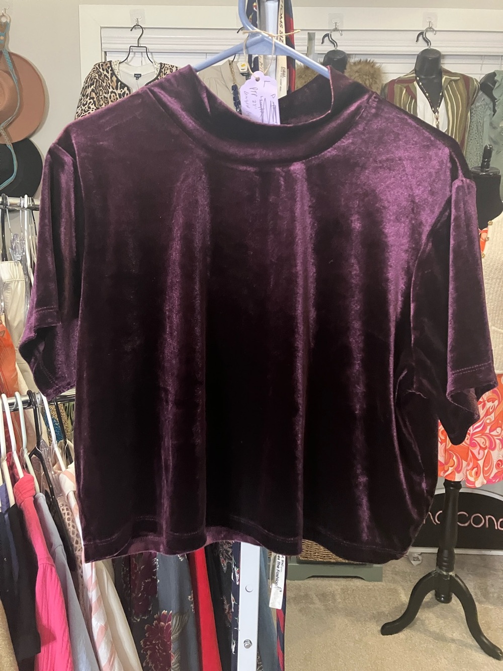 Arizona Jean Company Velvet Mock Neck Crop Top - Deep Plum